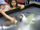 Turntable Exhibit